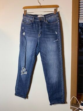 Flying Monkey Distressed Medium Blue Boyfriend Jeans